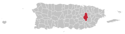 Locator-map-Puerto-Rico-Caguas.svg