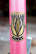 Lotus Head Badge.jpg