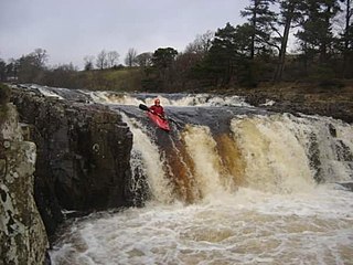 <span class="mw-page-title-main">Low Force</span>