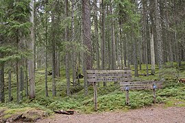 Footpath fingerposts in Seitseminen National Park