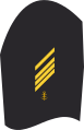 Sleeve badge service suit marine uniform wearer 20 series of uses