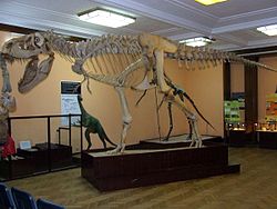 Tarbosaurus: Beskrivning, Taxonomi, Ekologi