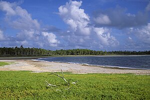 Kiribati: História, Geografia, Política