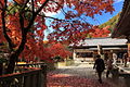 松平東照宮境内