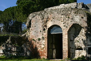 Ummidia Quadratilla: Bericht Plinius’ des Jüngeren, Leben und Familie, Pantomimengruppe