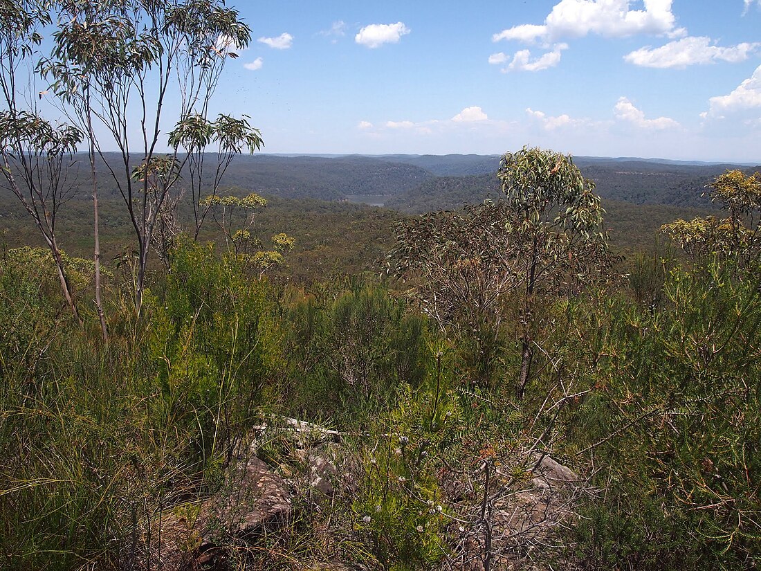 Mooney Mooney Creek, New South Wales