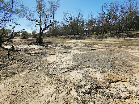 Moonie River was almost dry at this location near Gundabloui Road in Collarenebri, about 41 km north of the village, in April 2019