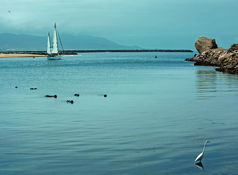 File:Morro Bay (17508364256).jpg