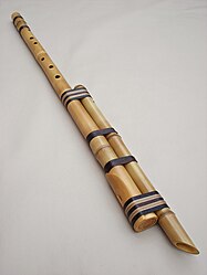 The Moseño, a traditional South American wind instrument