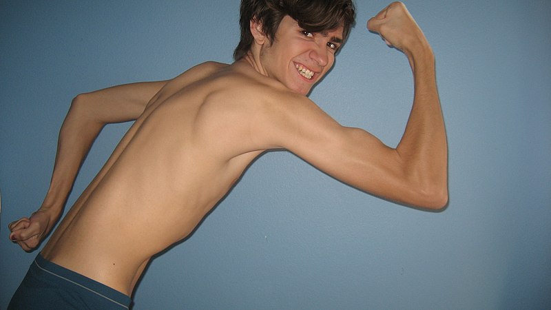 File:Muscle Man (2378888826).jpg