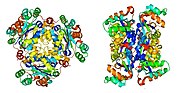 Thumbnail for Nucleoside-diphosphate kinase