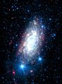 Spitzer Space Telescope image of NGC 3621.