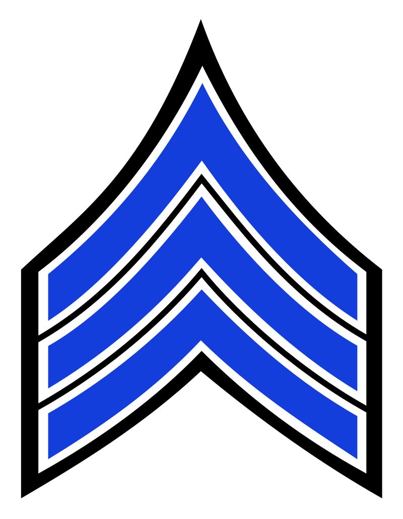 [Image: 800px-NYPD_Sergeant_Stripes.svg.png]