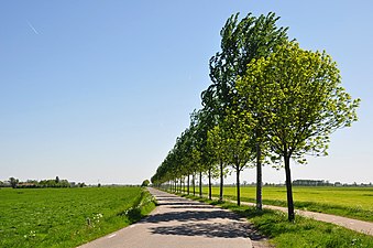 Paysage typique d'un polder