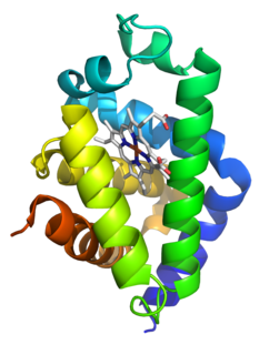 <span class="mw-page-title-main">Neuroglobin</span>