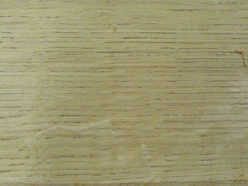 File:Oak 01.jpg