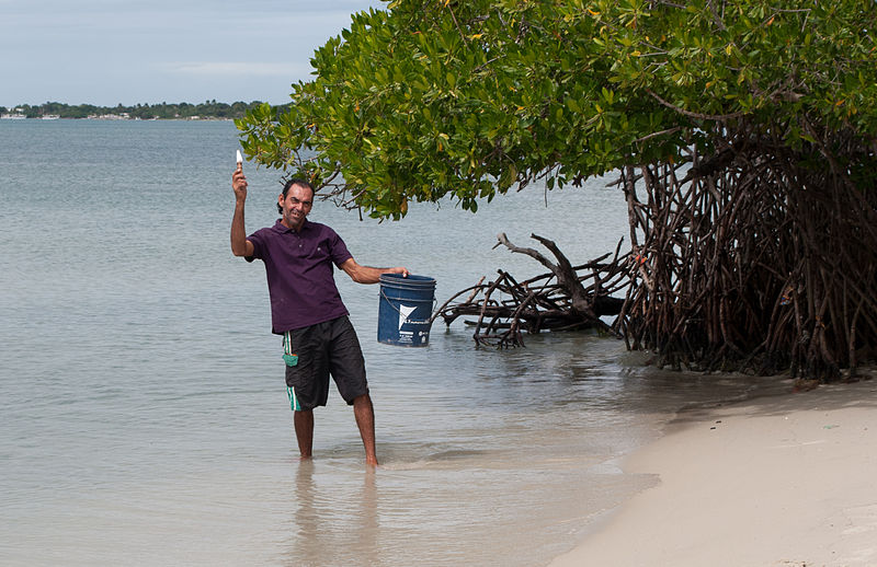 File:Oysters seller.jpg