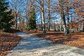 * Nomination Park at Herbecks Ruhe, dedicated to the Austrian conductor and composer Johann Ritter von Herbeck, on the alameda at the peninsula promenade, Pörtschach, Carinthia, Austria -- Johann Jaritz 03:52, 12 December 2023 (UTC) * Promotion  Support Good quality. --XRay 04:47, 12 December 2023 (UTC)