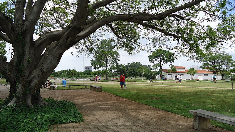 File:PARQUE VILA GUILHERME - panoramio.jpg