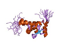 PDB 1s7a EBI.jpg