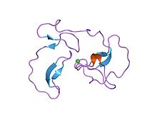 Antistasin, the first discovered naturally occurring direct Xa inhibitor PDB 1skz EBI.jpg