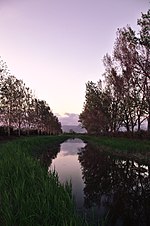 Vignette pour Marais de Fucecchio