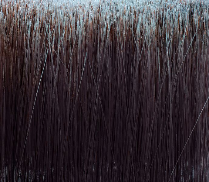 File:Paintbrush closeup.jpg