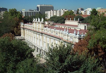 Cómo llegar a Palacio De Liria en transporte público - Sobre el lugar