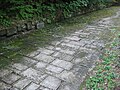 Paved Dacian road at Sarmizegetusa Regia