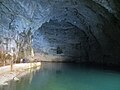 Planina Cave Slovenia - entrance.JPG
