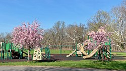Green Brook Park (parke sa Tinipong Bansa, New Jersey)