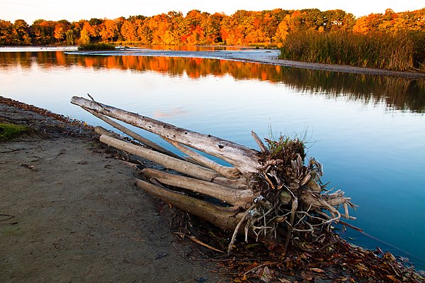 The Rouge Pond, near the mouth of the Rouge River, at Rouge National Urban Park