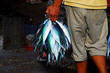 Port Moresby Fish Market Port Moresby Fish Market.jpg