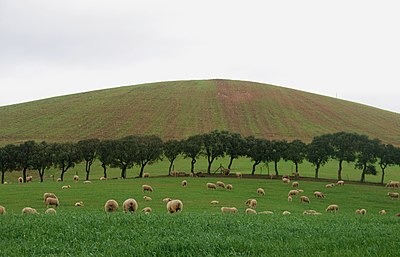 Agriculture in Portugal