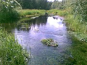 Prandi jõgi Veskiaru külas