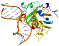 Thumbnail for DNA-3-methyladenine glycosylase