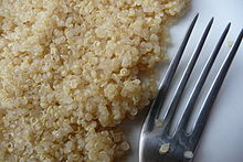 Cooked quinoa (C. quinoa) seeds Quinoa cuit.JPG