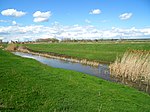 Green field and a river