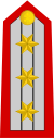 Ranginsignes van Oberst (OF-5) Pauselijke Zwitserse Garde.svg
