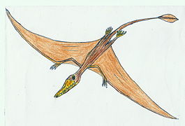 Rhamphorhynchus