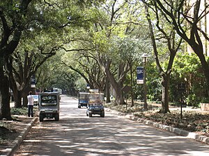 Rice University