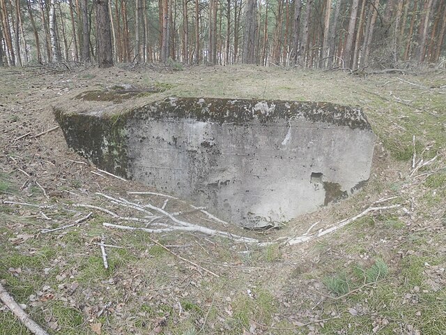 Ringstand 58c (Stary Witoszyn od strony Wilczeńca Fabiańskiego)