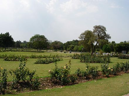 The Rose Garden