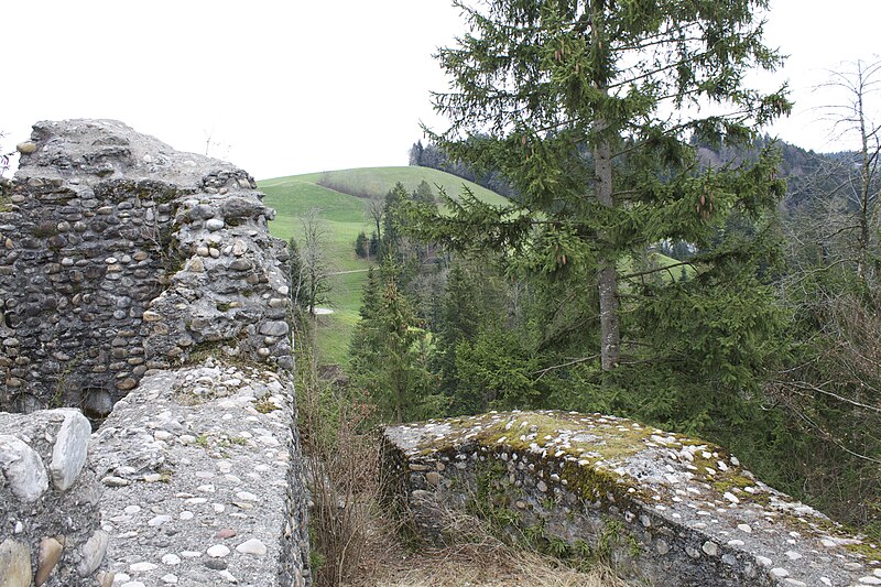 File:Ruine Alt-Signau 8.jpg