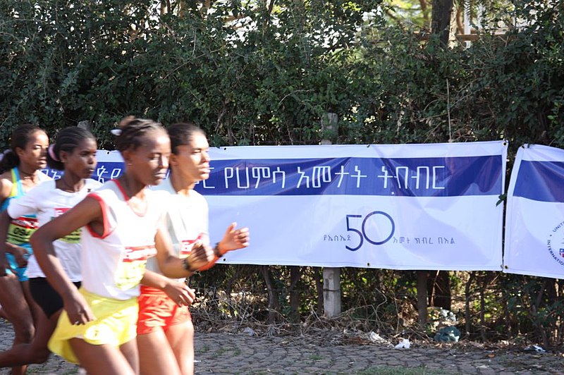 File:Runners at the EVERY ONE race (5791174818).jpg