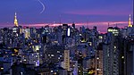 圣保罗，同名州的首府，位于巴西东南部，是巴西人口最多的城市。