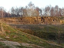 sand martin colony at Whisby Nature Park, photographed in 2008 Sand Martin Colony, Whisby Nature Park - geograph.org.uk - 684285.jpg