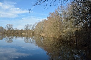 Schleswig-Holstein, Kellinghusen, Naturerlebnisraum Rensinger See NIK 1796.JPG