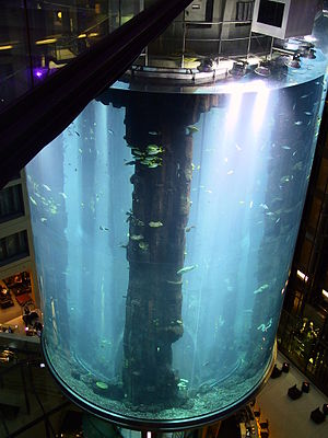 SeaLife AquaDomBerlin.JPG