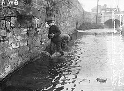 Image result for 1916 dublin river liffey